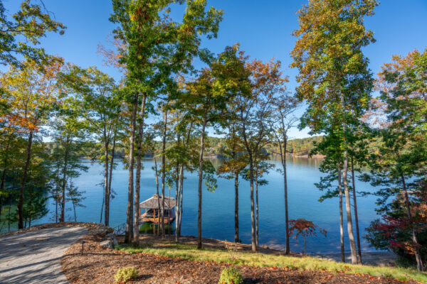 lake view from home