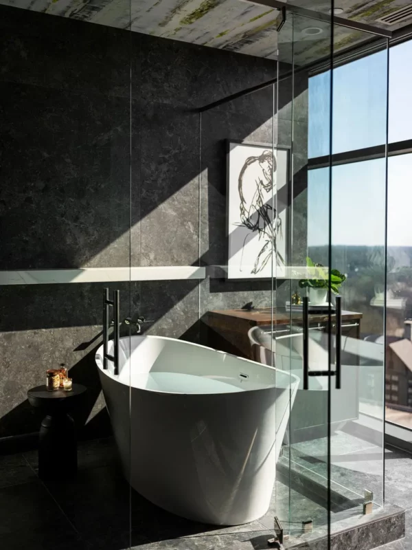 Downtown Greenville Luxury Condo IV Bathroom with views