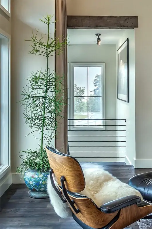 Corner with a Plant, Chair and Railing