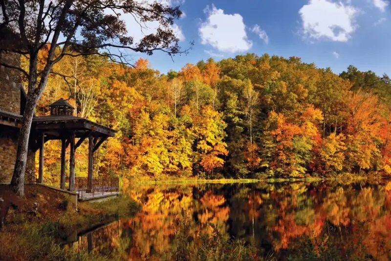 fall foliage around lake and gazebo