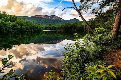 view of bald mountain on other side of lake through green forest in south carolina mountains