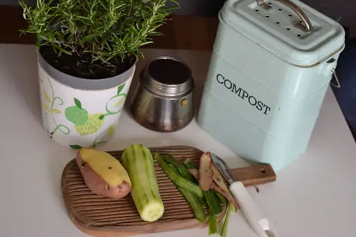 compost box with vegetables and herb plant 